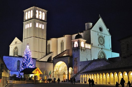 Kandang Natal dan Pohon Natal di Basilika San Frabncesco tahun 2010