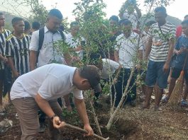 Uskup Terpilih Labuhan Bajo, Mgr. Maksimus Regus menanam pohon di depan Wisma Keuskupan Labuhan Bajo. Panitia Tahbisan