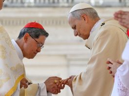 Kardinal Tagle memakaikan cincin nelayan di jari Paus Leo XIV. NCR