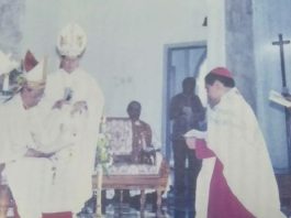 Mgr. Aloysius M. Sutrisnaatmaka MSF saat ditahbiskan menjadi Uskup Palangkaraya oleh Kardinal Julius Darmaatmadja SJ pada 7 Mei 2001. IST