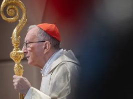 Kardinal Pietro Parolin. Aleteia