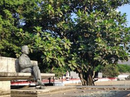 Patung Soekarno di lokasi tempat pohon sukun di tepi pantai Ende NTT. IST