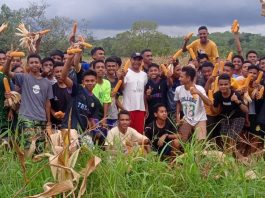 Para seminaris di Seminari Menengah Lalian saat beraktivitas di kebun seminari. IST