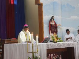 Mgr. Paulus Budi Kleden SVD, Uskup Agung Ende. IST