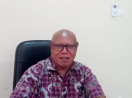 Vikjen Keuskupan Agung Merauke, Romo Hendrikus Kariwop MSC.