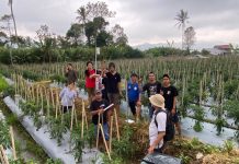 Dunia Laudato Si’: Membaca Iklim dan Beradaptasi dengan Alam