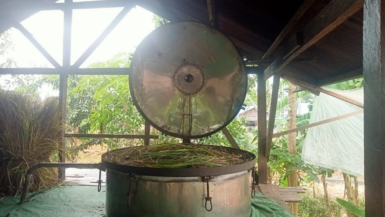 Proses pembuatan minyak serai wangi di salah satu warga dilokasi transmigrasi Kampung Marga Mulya, Distrik Semangga